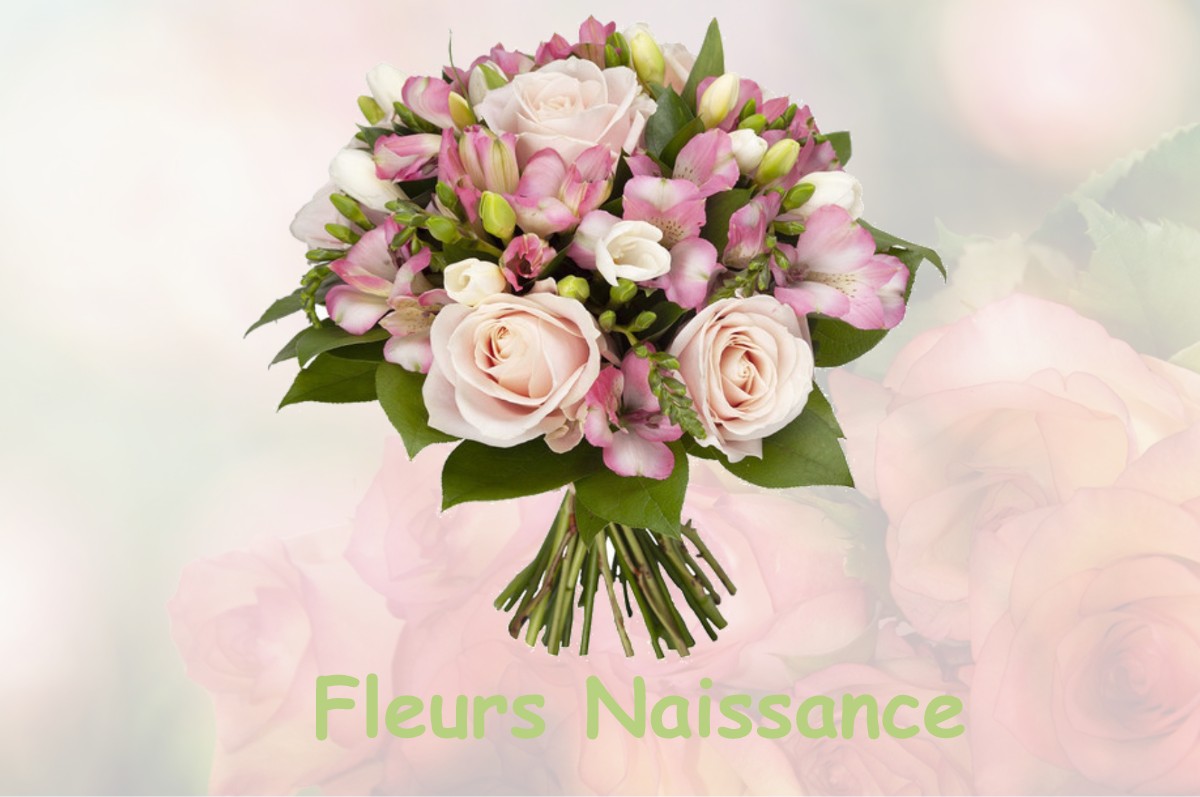 fleurs naissance LA-GUERCHE-SUR-L-AUBOIS