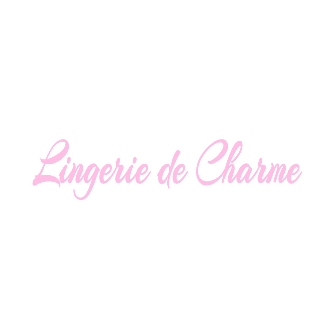 LINGERIE DE CHARME LA-GUERCHE-SUR-L-AUBOIS